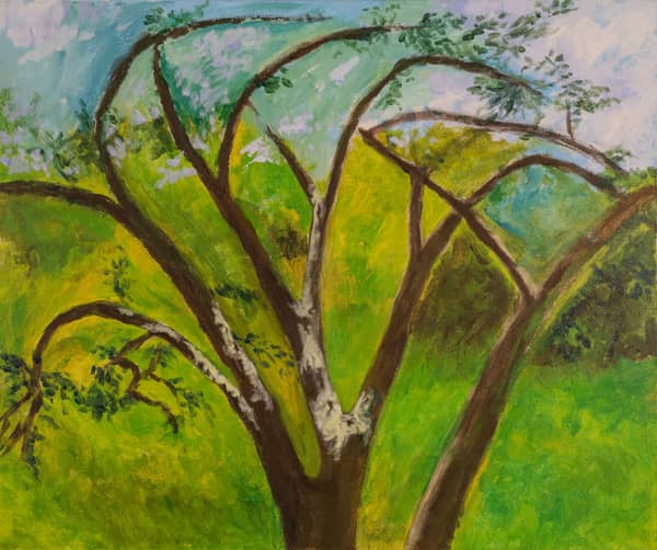 Mirabellenbaum aus dem fenster